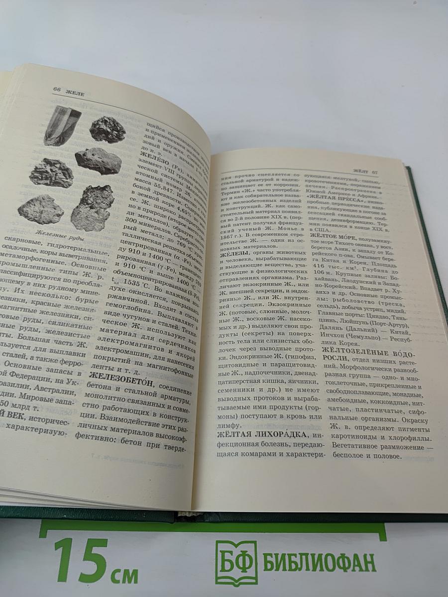 Энциклопедия Книжного клуба XXI век. Том 7. Д-И