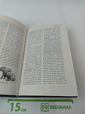 Энциклопедия Книжного клуба «XXI век». Том 8. И—К