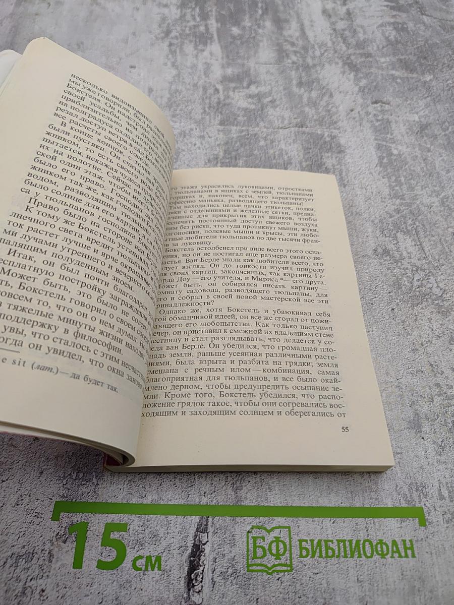 Черный тюльпан