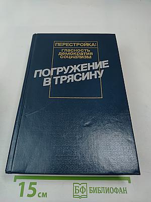 Погружение в трясину (Анатомия застоя)