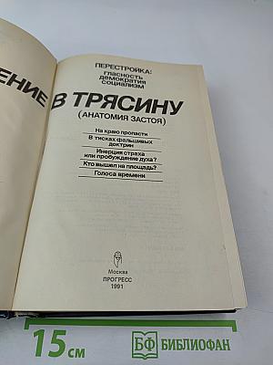 Погружение в трясину (Анатомия застоя)