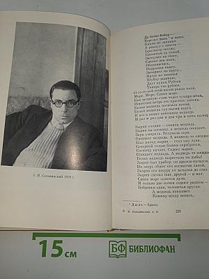 Собрание сочинений. Том 2. Поэмы