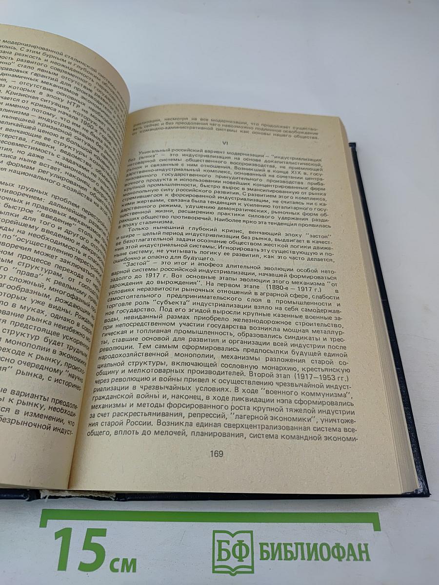 Погружение в трясину (Анатомия застоя)