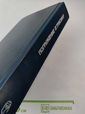 Погружение в трясину (Анатомия застоя)