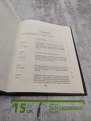 Мученики, исповедники и подвижники благочестия Русской Православной Церкви XX столетия. Книга 2