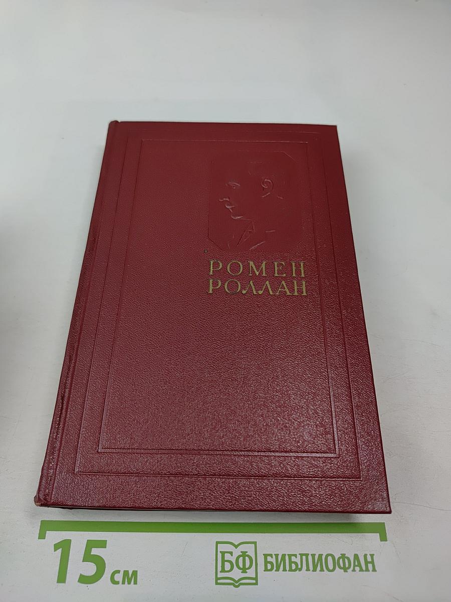 Собрание сочинений. Том тринадцатый. Публицистика (1917–1939)