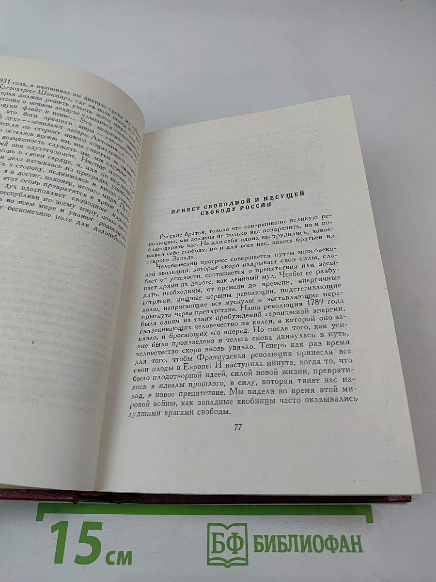 Собрание сочинений. Том тринадцатый. Публицистика (1917–1939)