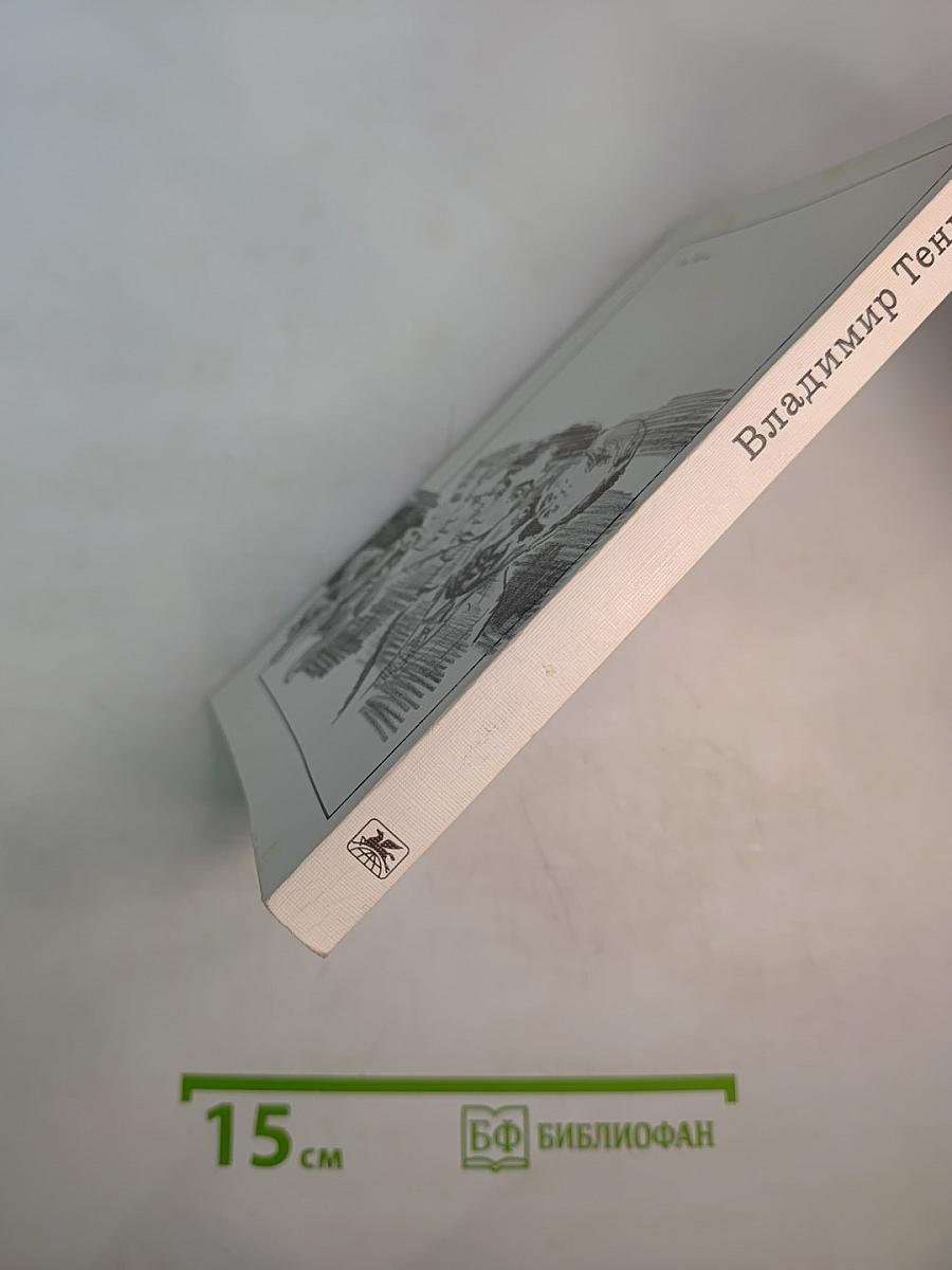 Покушение на миражи. Чистые воды Китежа