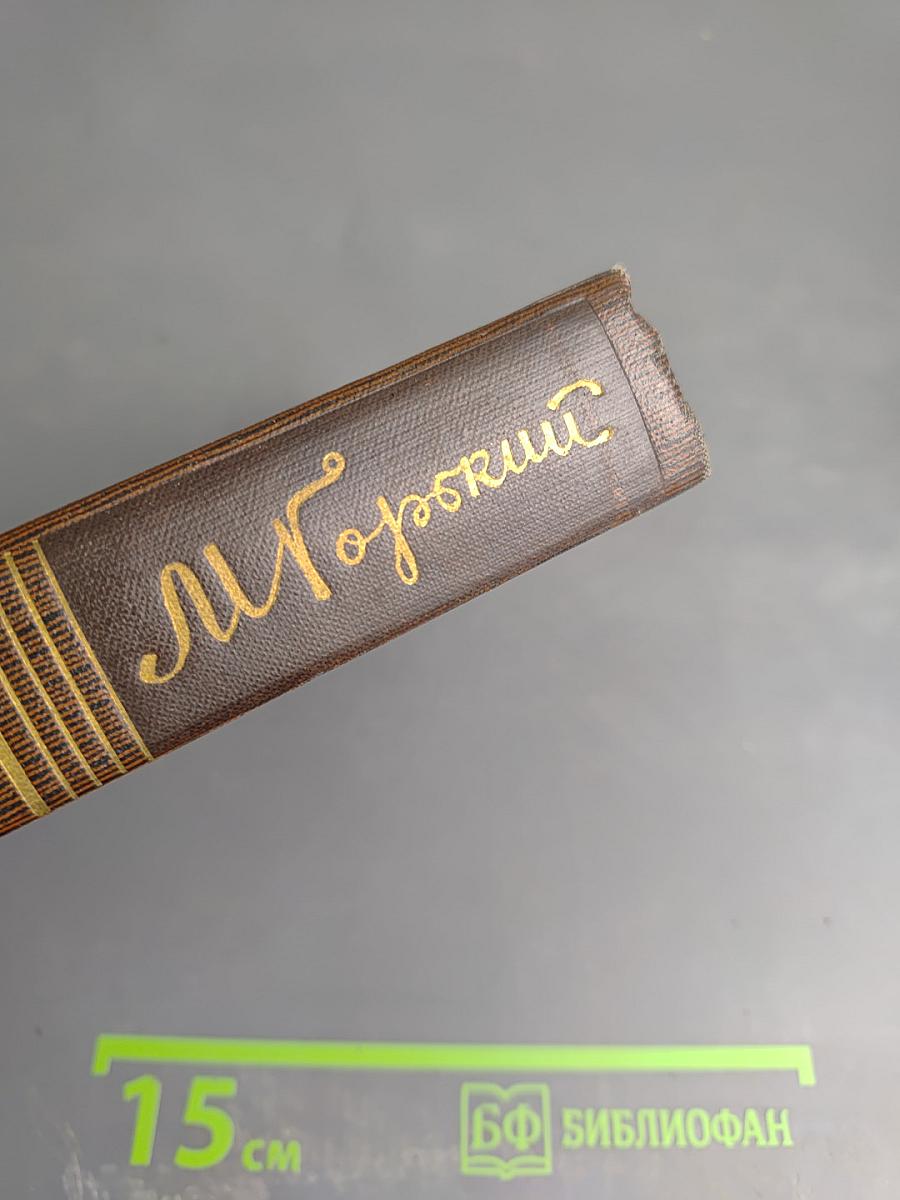 Собрание сочинений. Том 5. Трое. Рассказы, наброски (1899-1904)