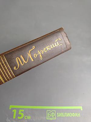 Собрание сочинений. Том 5. Трое. Рассказы, наброски (1899-1904)