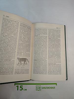 Энциклопедия Книжного клуба XXI век. Том 14. О-П