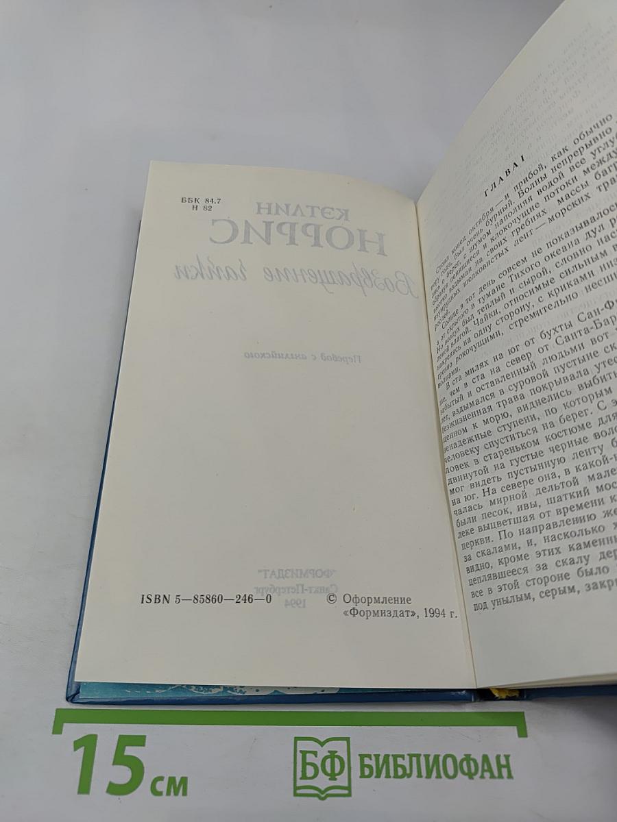 Возвращение Чайки