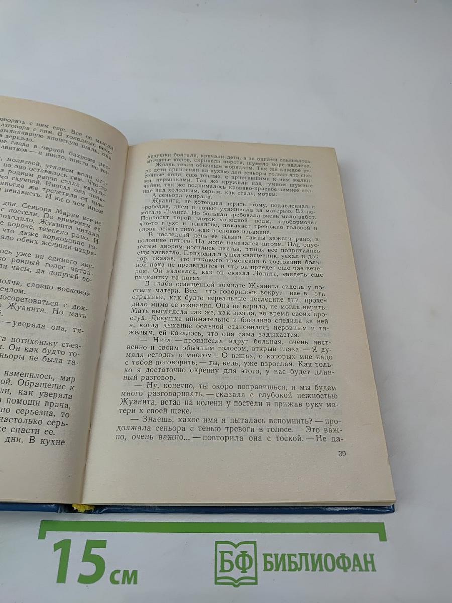 Возвращение Чайки