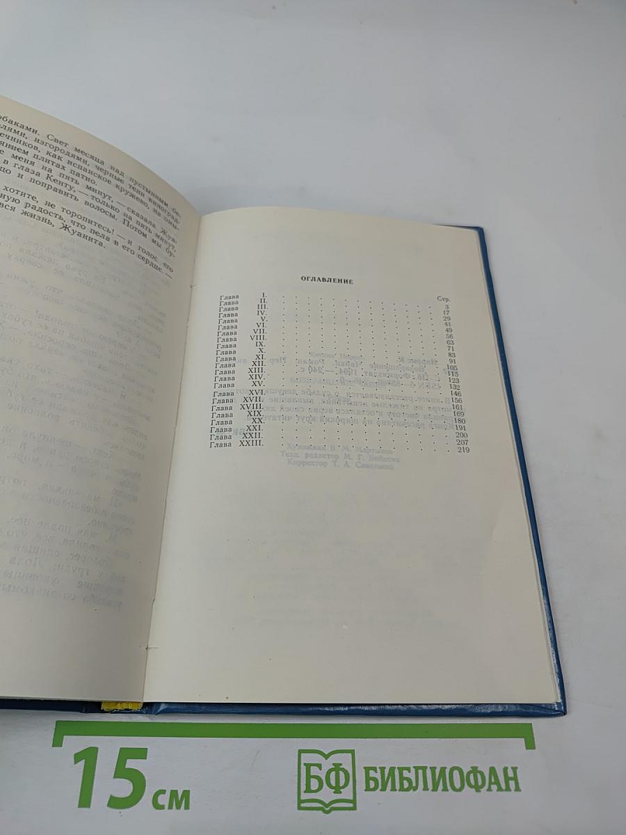 Возвращение Чайки