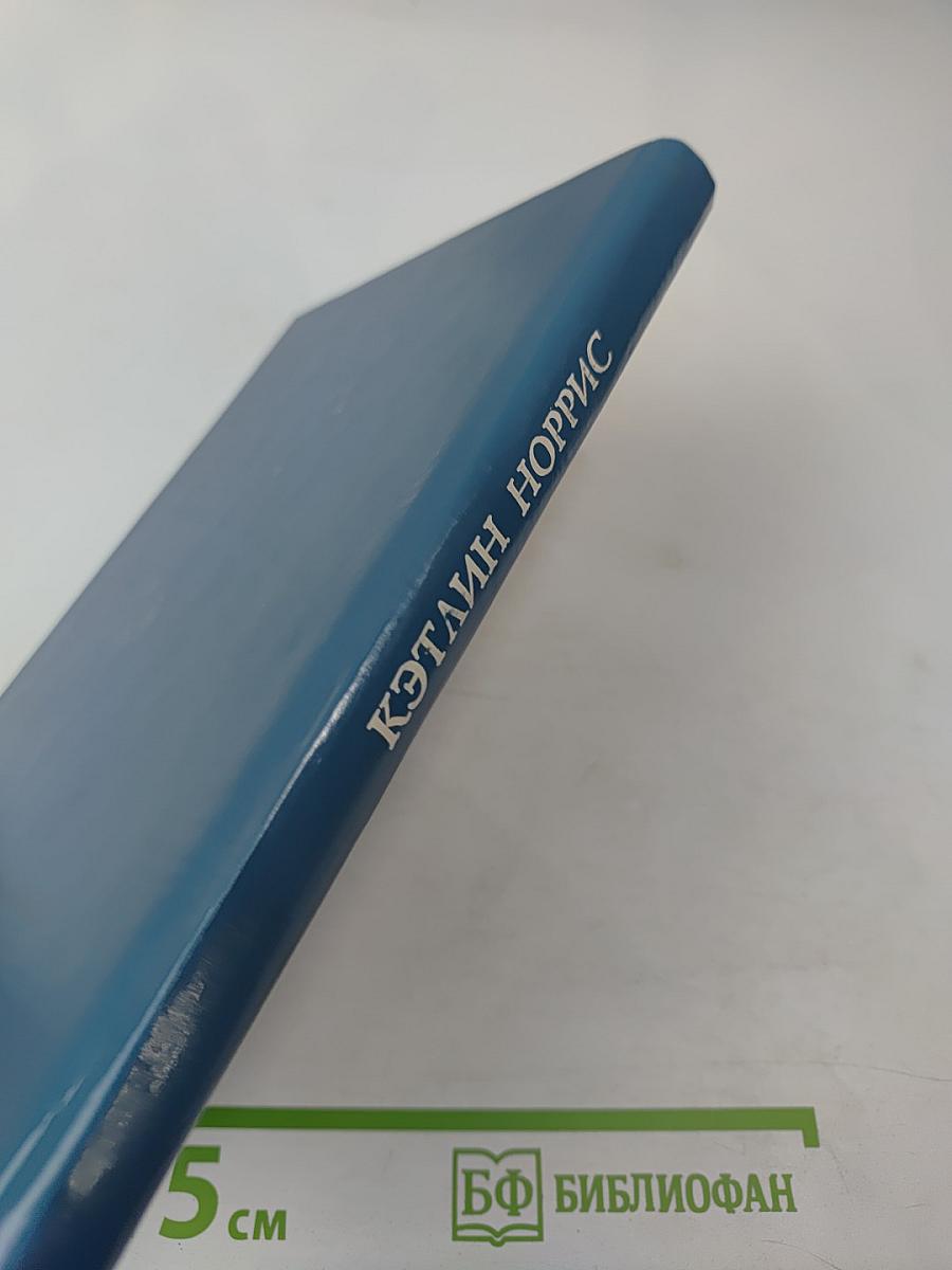 Возвращение Чайки