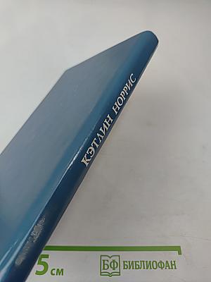 Возвращение Чайки