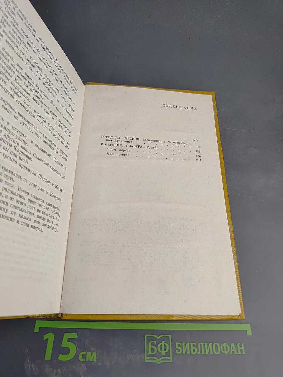 Город на трясине