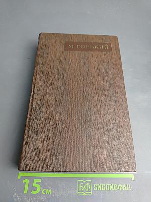 Собрание сочинений. Том шестнадцатый: Повесть, рассказы, очерки, стихи 1917-1924