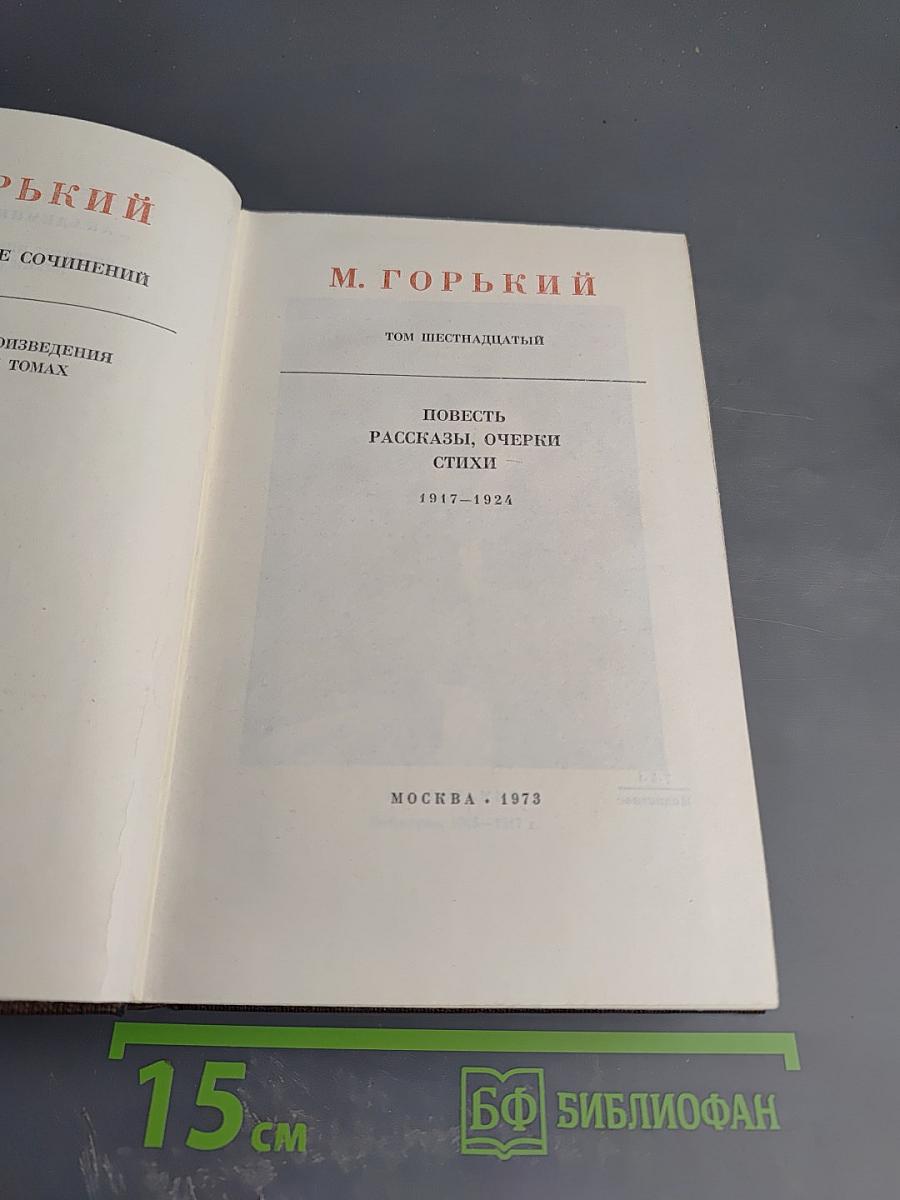 Собрание сочинений. Том шестнадцатый: Повесть, рассказы, очерки, стихи 1917-1924