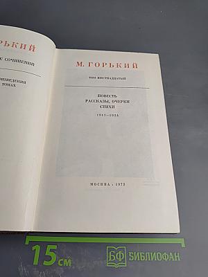 Собрание сочинений. Том шестнадцатый: Повесть, рассказы, очерки, стихи 1917-1924