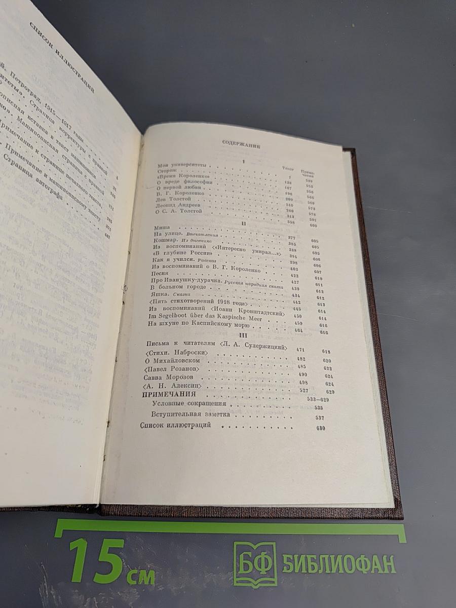 Собрание сочинений. Том шестнадцатый: Повесть, рассказы, очерки, стихи 1917-1924