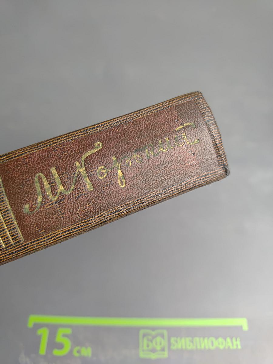 Собрание сочинений. Том шестнадцатый: Повесть, рассказы, очерки, стихи 1917-1924