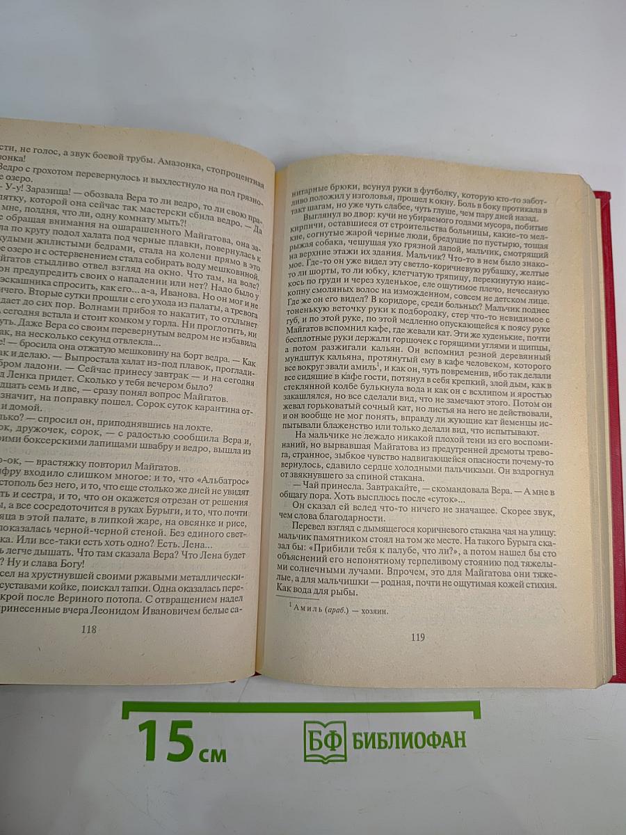 Бой без правил