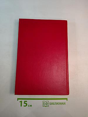 Бой без правил