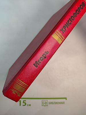 Бой без правил