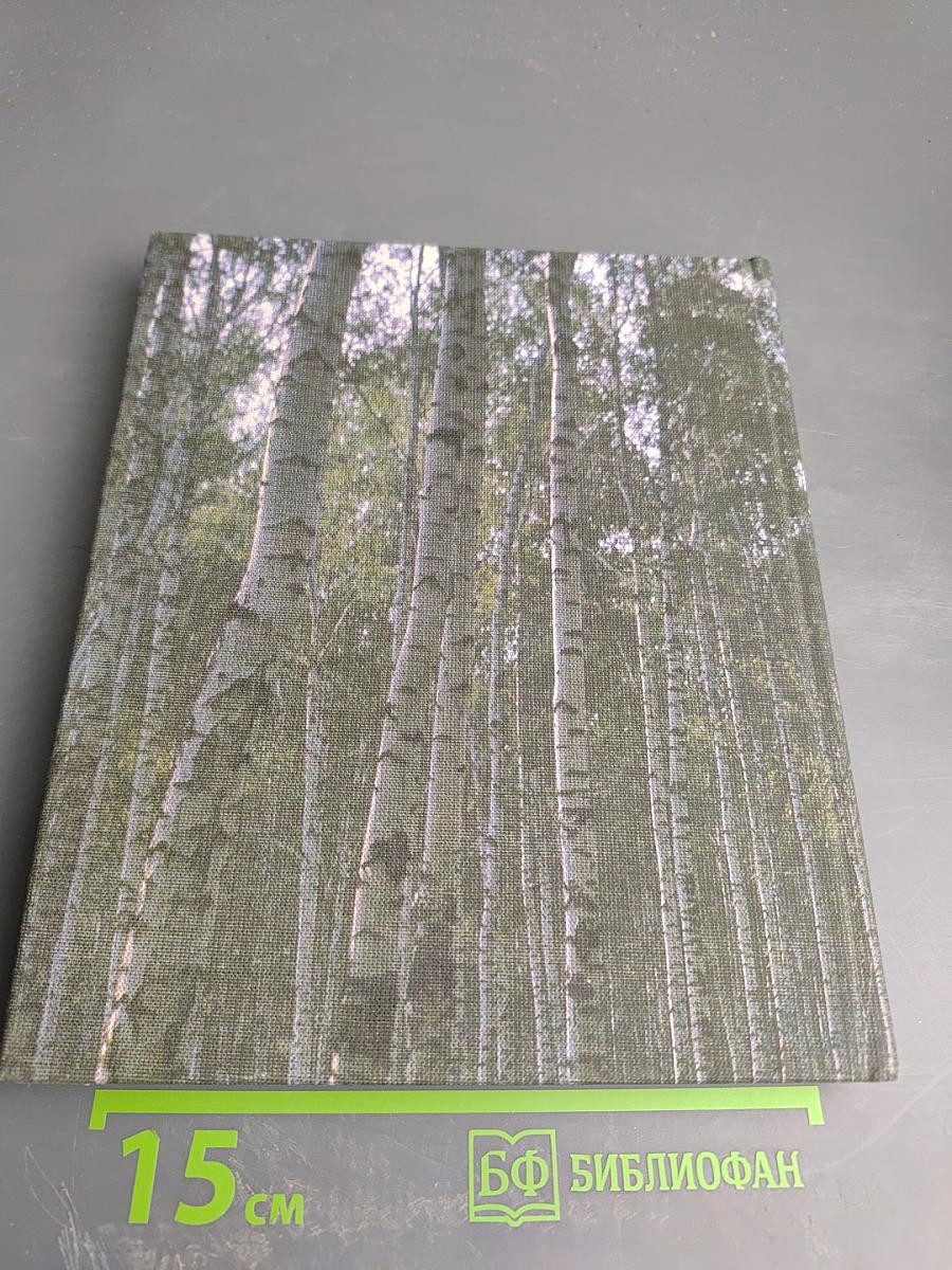 Легла дорога в Константиново...