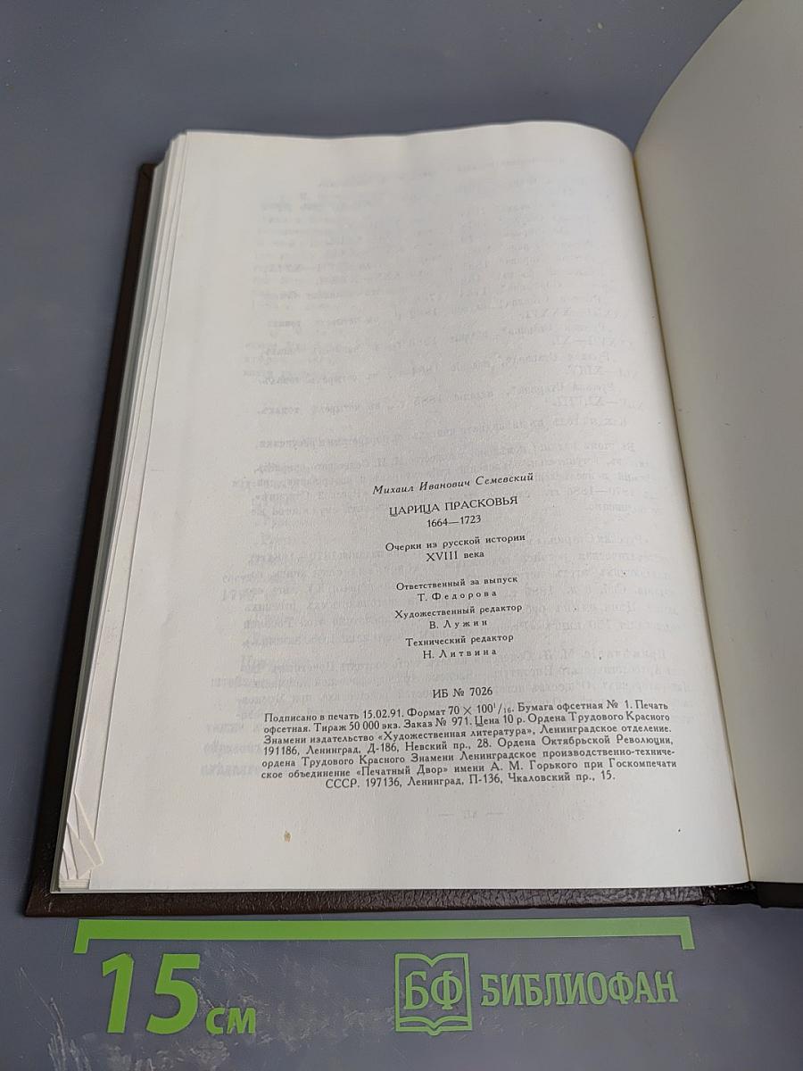 Царица Прасковья 1664-1723. Очерк на русской истории XVIII века