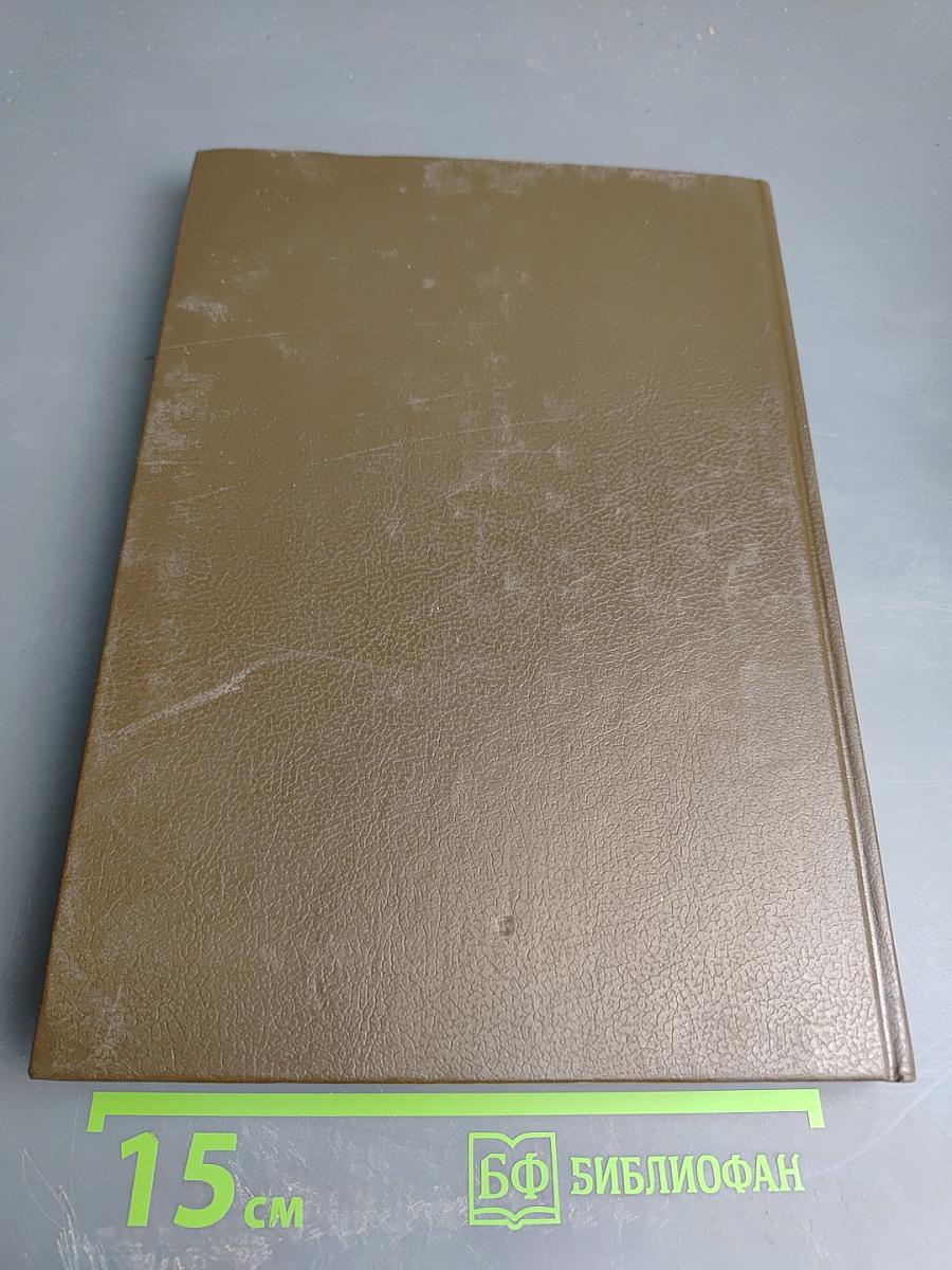 Царица Прасковья 1664-1723. Очерк на русской истории XVIII века