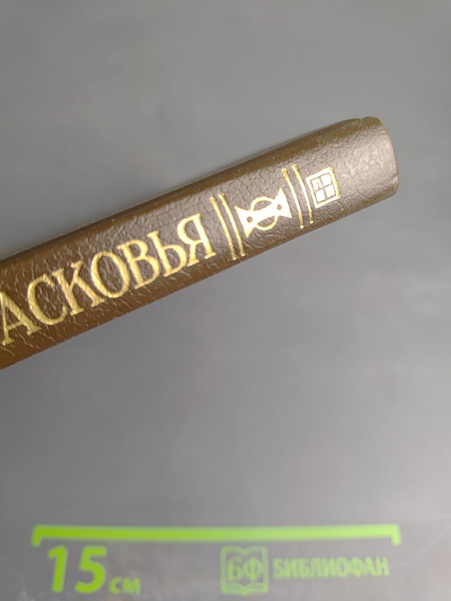 Царица Прасковья 1664-1723. Очерк на русской истории XVIII века