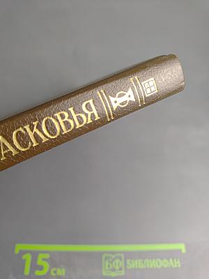 Царица Прасковья 1664-1723. Очерк на русской истории XVIII века
