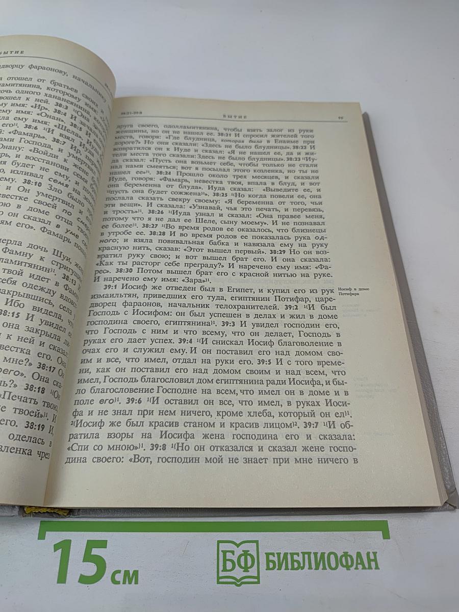 Новая Толковая Библия. Том 1