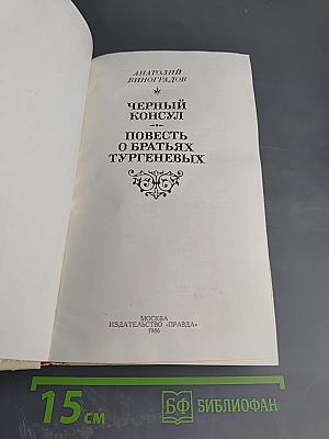 Черный консул. Повесть о братьях Тургеневых