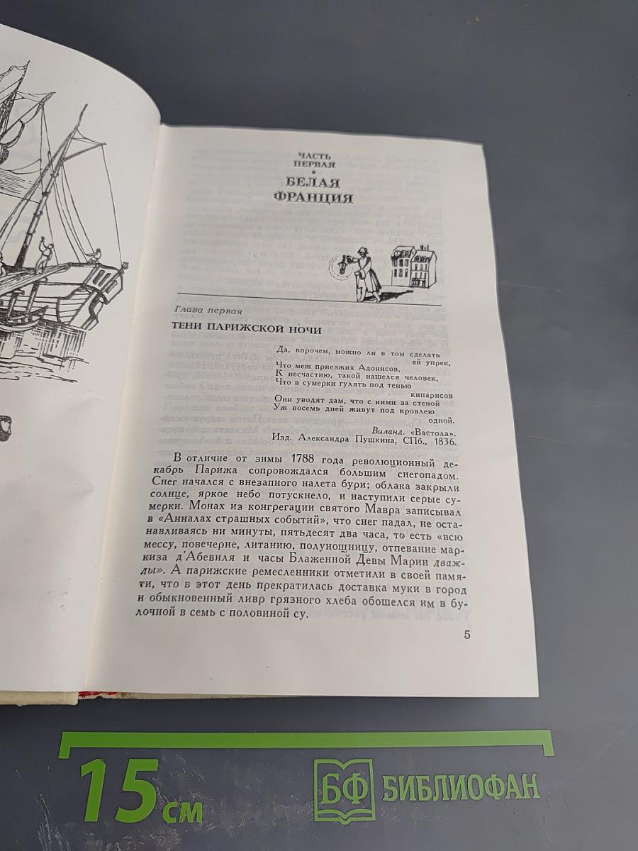 Черный консул. Повесть о братьях Тургеневых