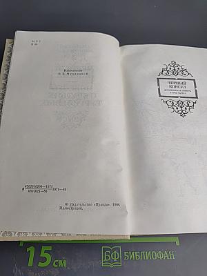 Черный консул. Повесть о братьях Тургеневых