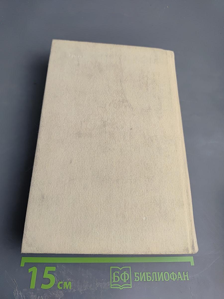 Черный консул. Повесть о братьях Тургеневых