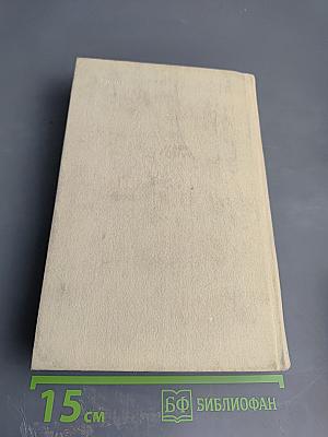 Черный консул. Повесть о братьях Тургеневых