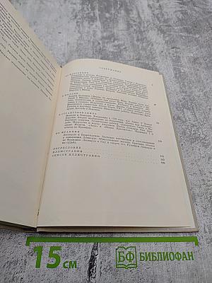 Леонардо да Винчи