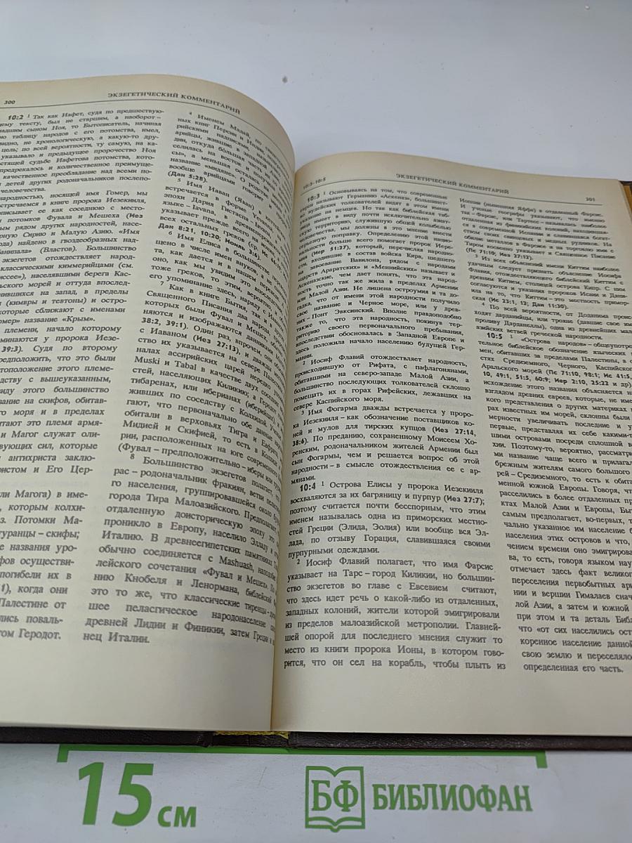 Новая Толковая Библия. Том 1