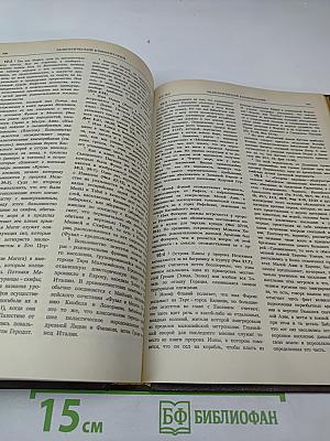 Новая Толковая Библия. Том 1