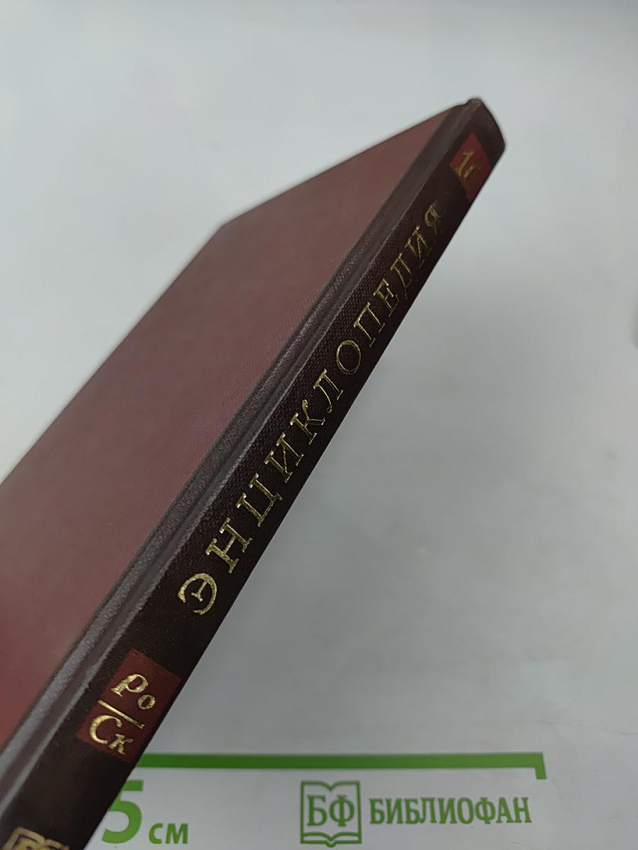 Новая иллюстрированная энциклопедия. Кн. 16. Ро-Ск