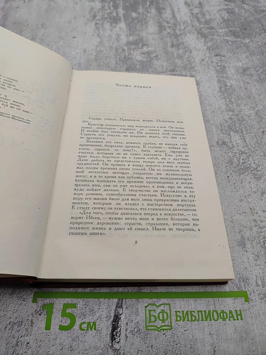 Собрание сочинений. Том шестой. Жан-Кристоф. Книги девятая и десятая