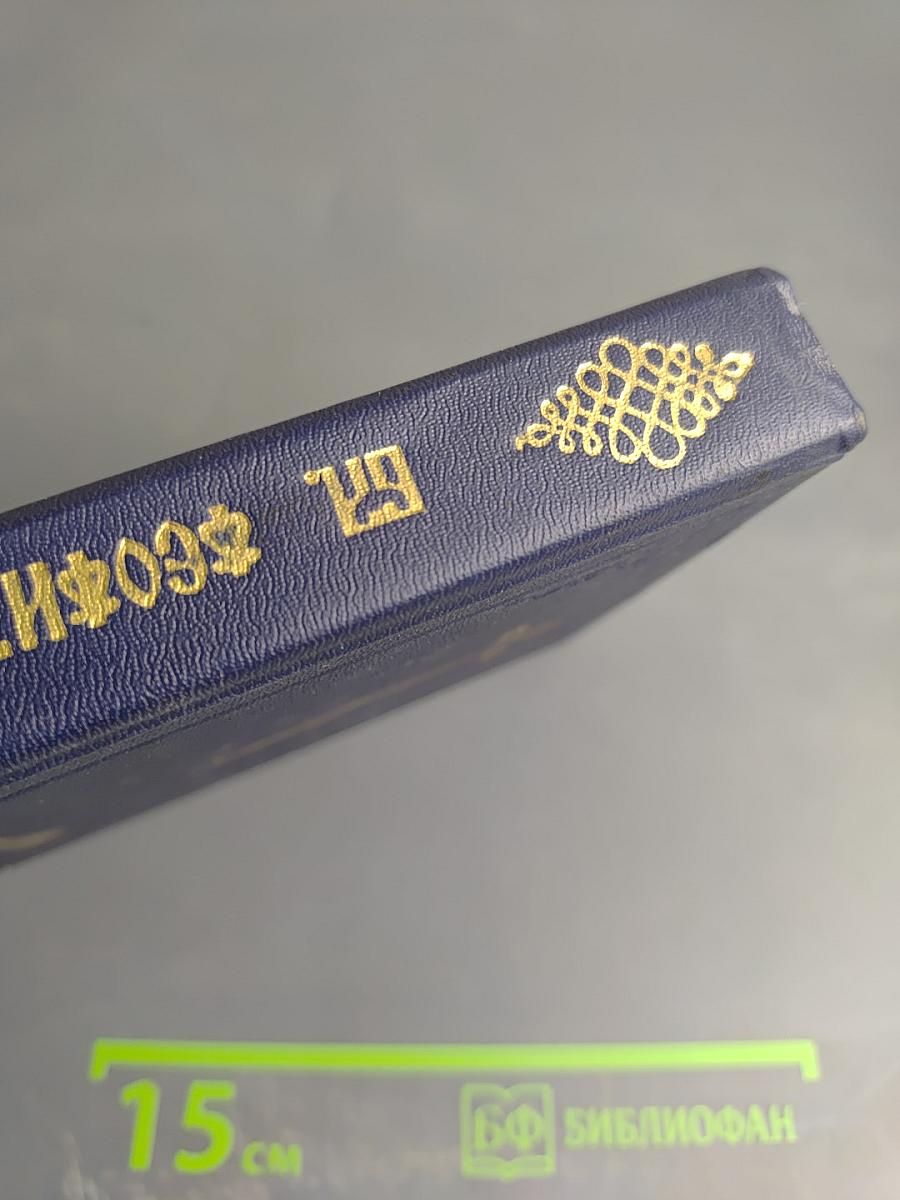 Благовестник, или Толкование на Святое Евангелие. Часть первая. Евангелие от Матфея