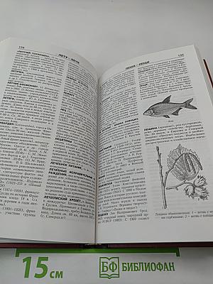 Новая иллюстрированная энциклопедия. Ку-Ма