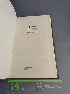 Паду к ногам твоим