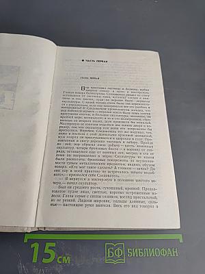 Голос зовущего