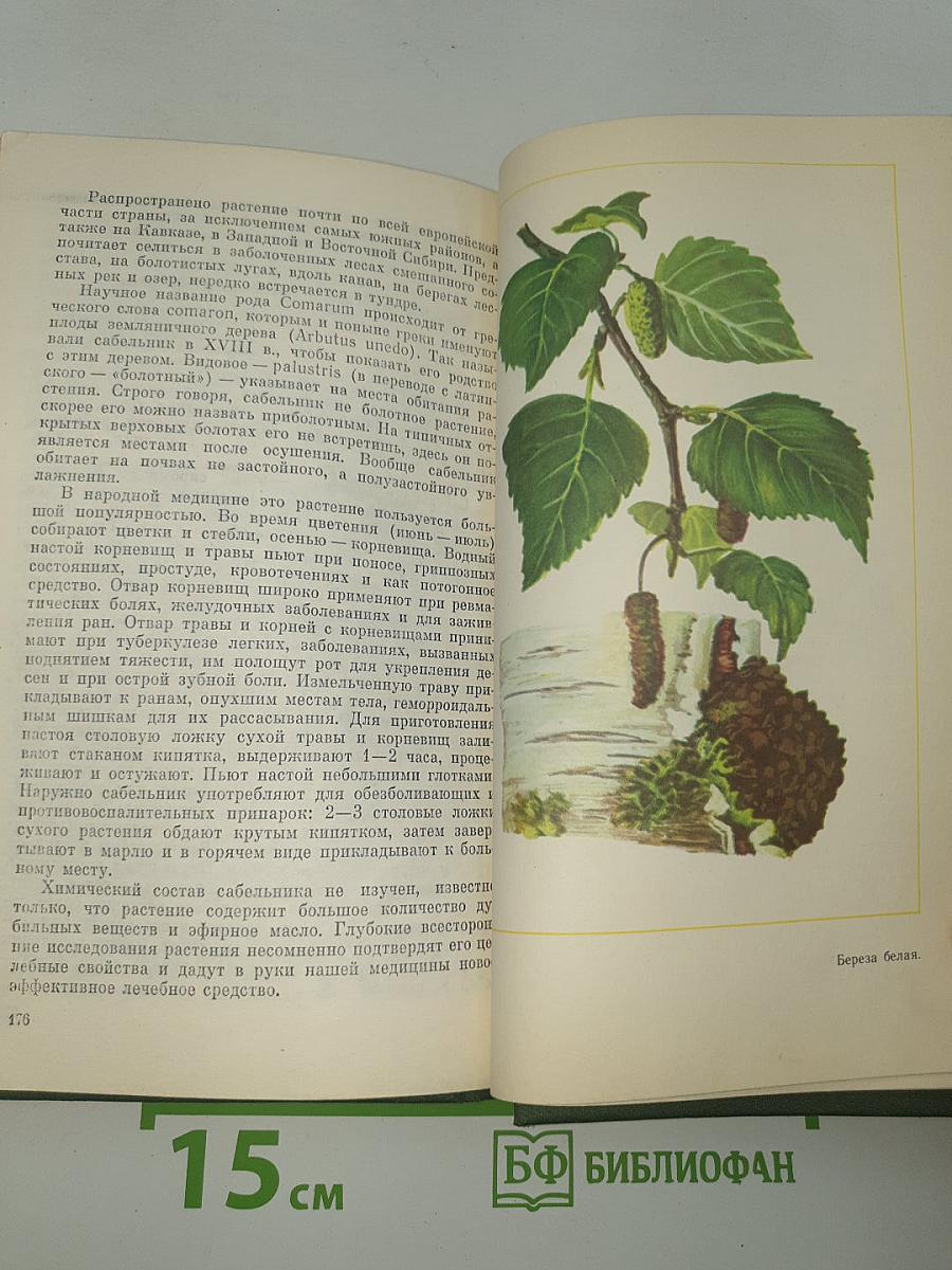Зеленая аптека